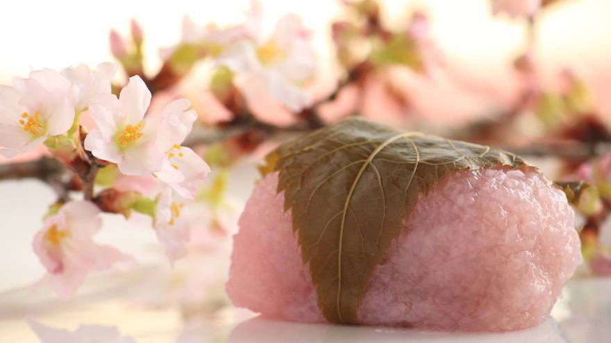 Japanese Spring Traditions & Snacks for Hanami