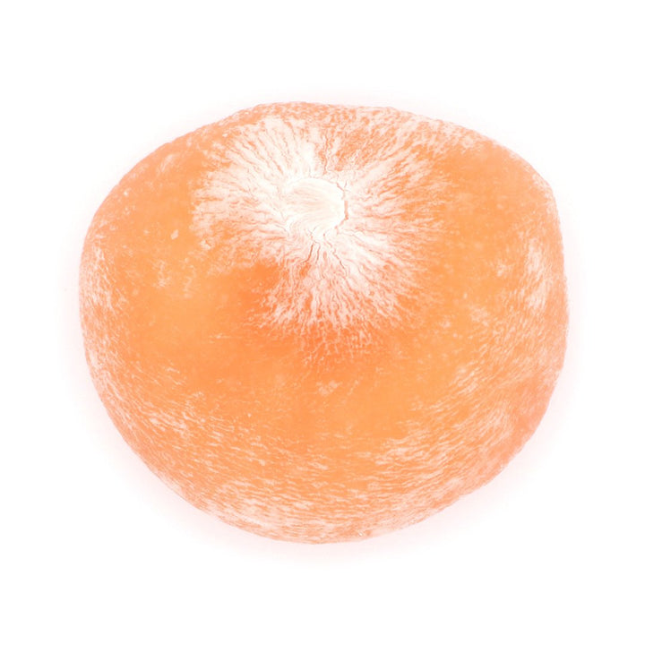 Fujiya Nectar Peach Mochi