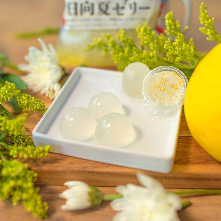 Past Snack - Hyuganatsu Jelly
