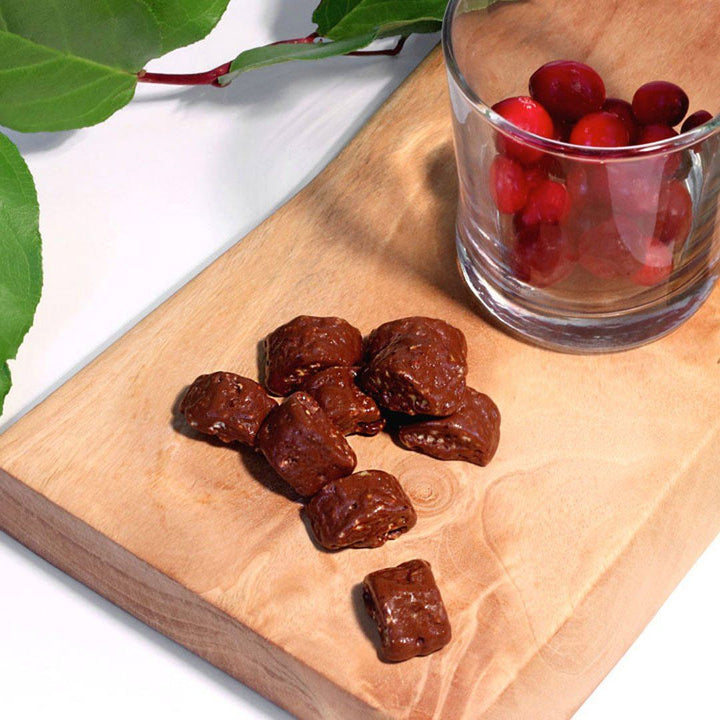 Past Snack - Mogumogu Cranberry Chocolate