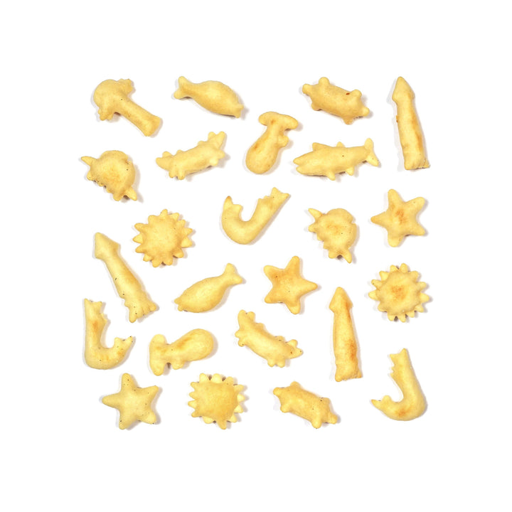 Past Snack - Ottotto Crackers (Salt Flavor)