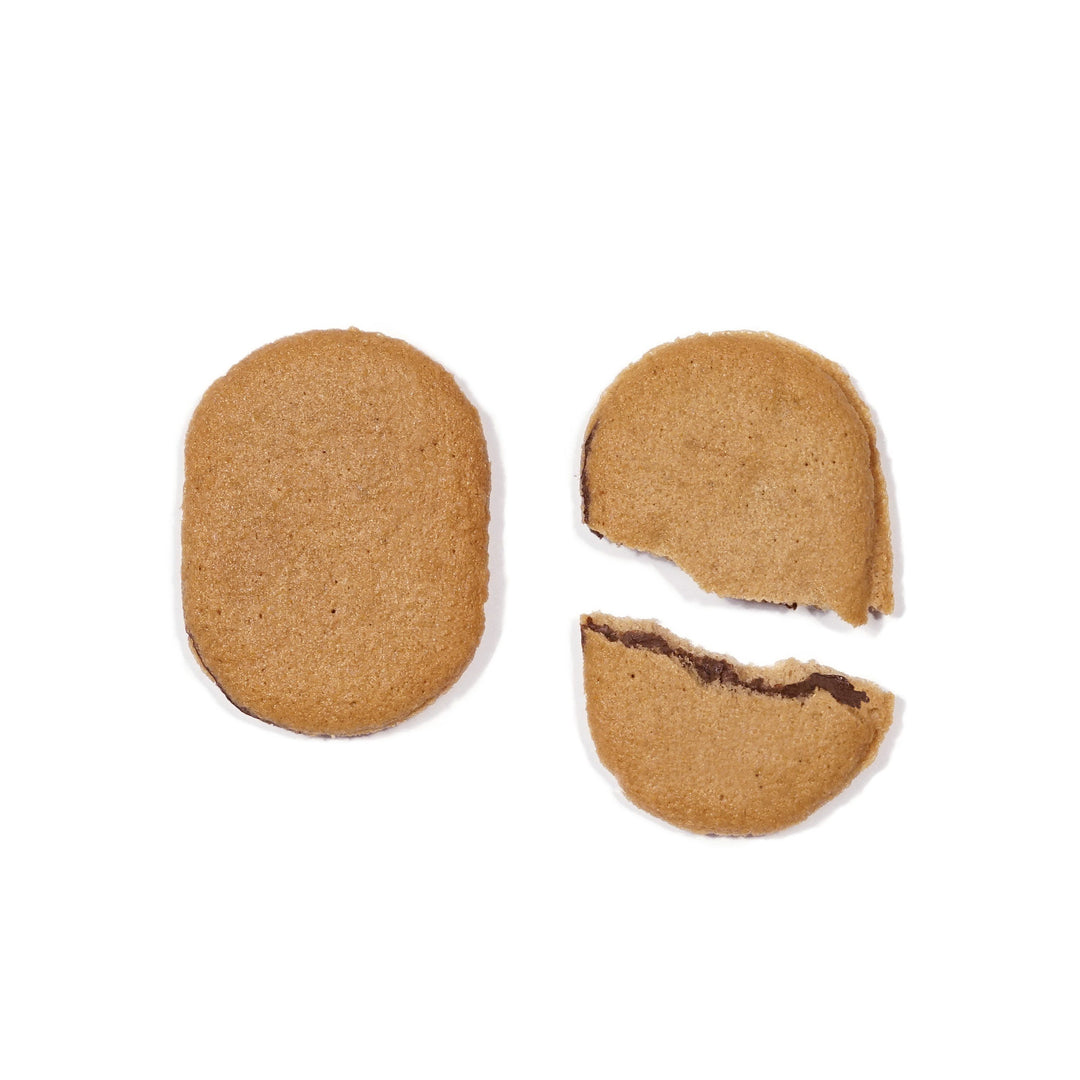 Past Snack - Saku Saku Cacao