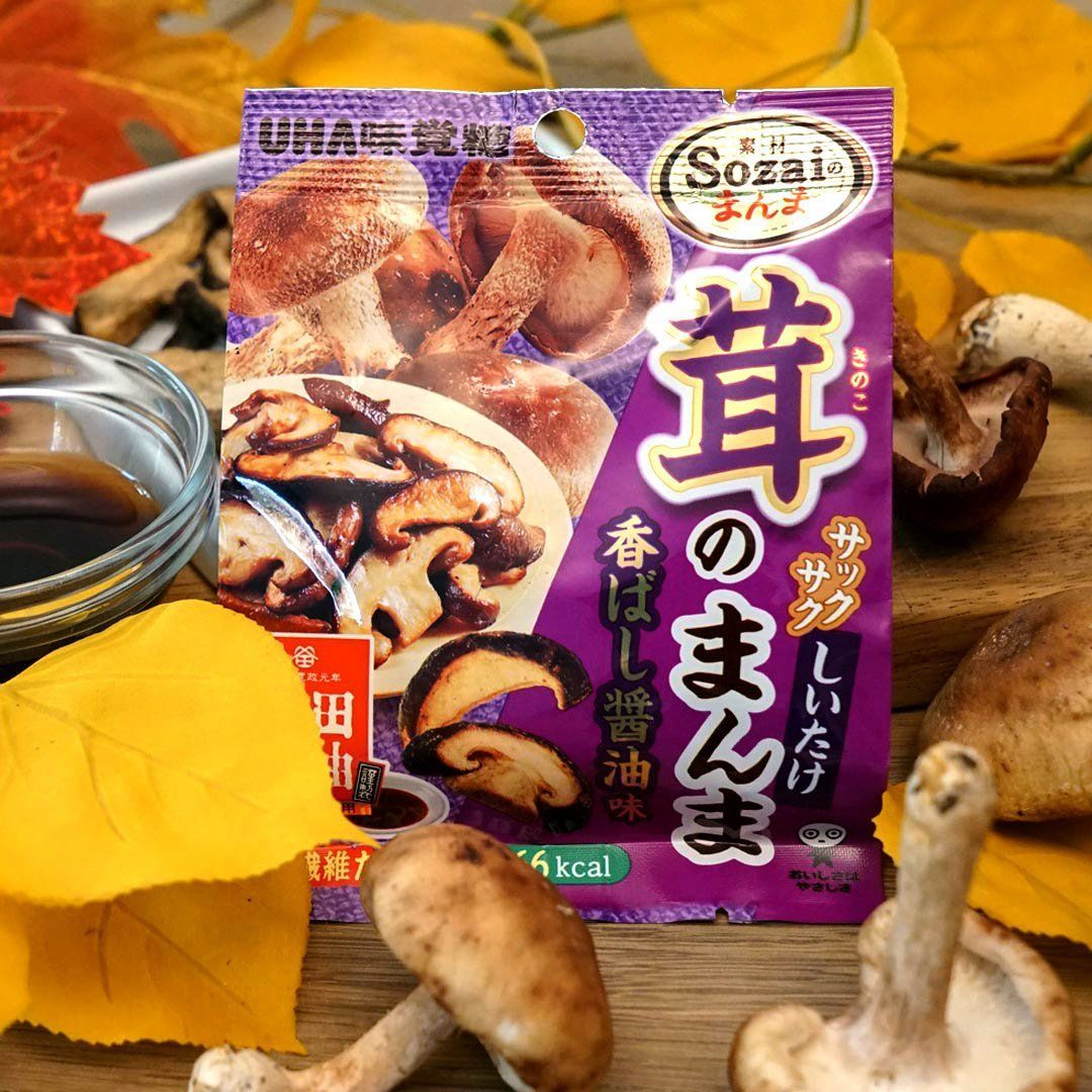 Past Snack - Shiitake Mushroom Chips